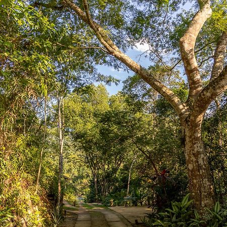 La Luciole Ecolodge Параті Екстер'єр фото